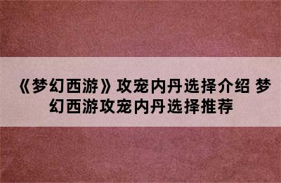 《梦幻西游》攻宠内丹选择介绍 梦幻西游攻宠内丹选择推荐